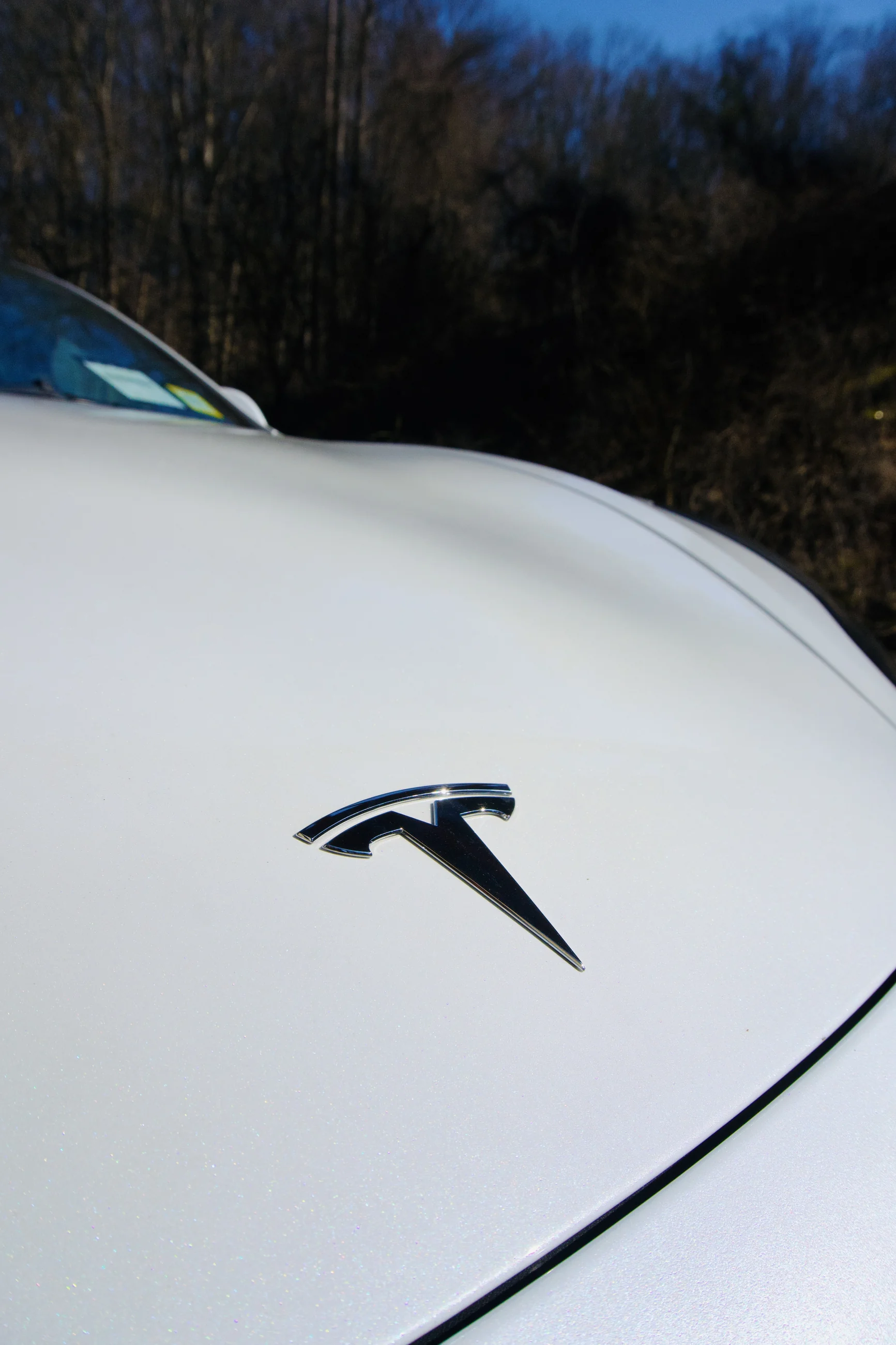 Close view of the Tesla emblem on a white hood