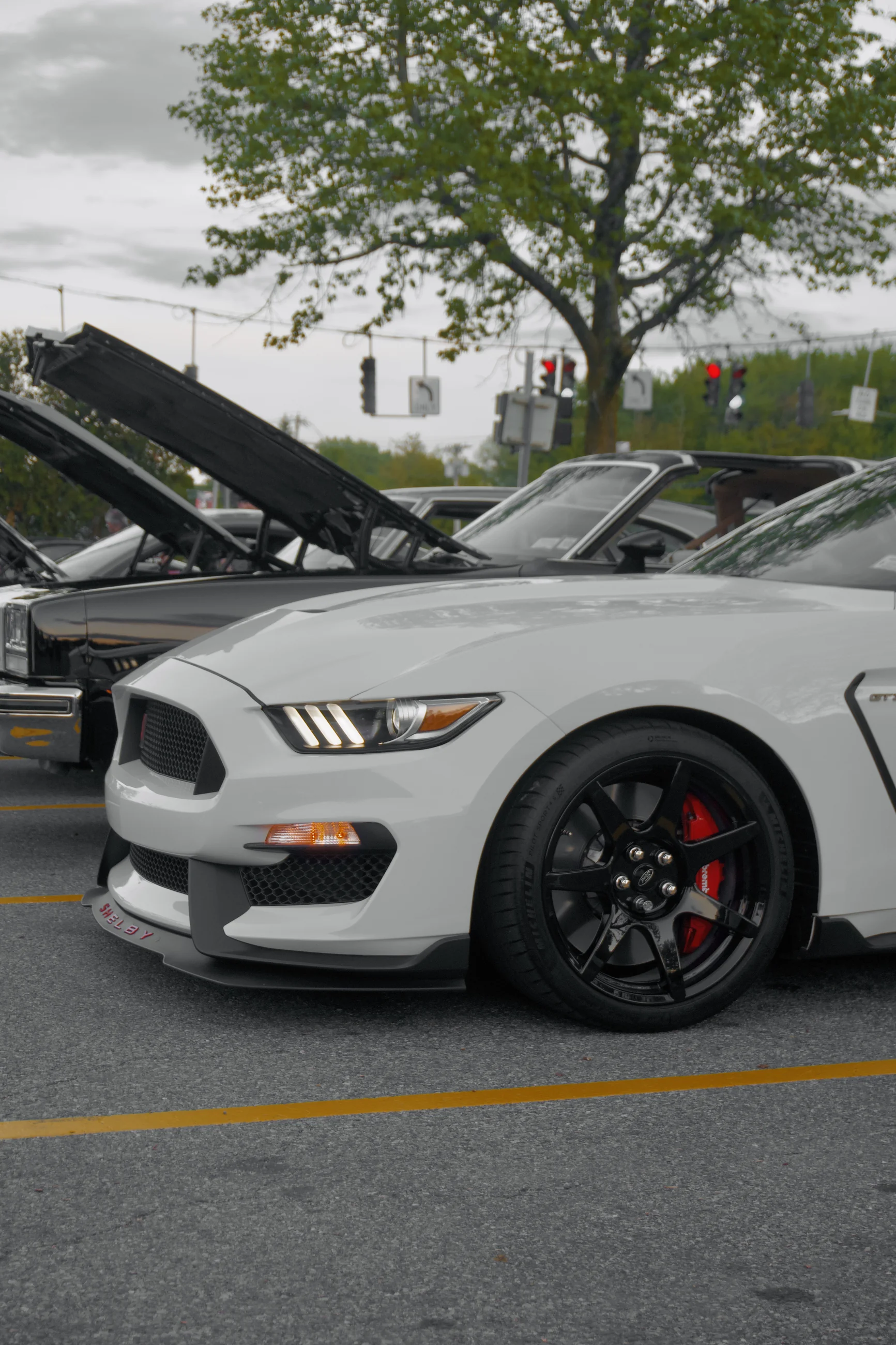 Silver Mustang parked among other cars at an outdoor show