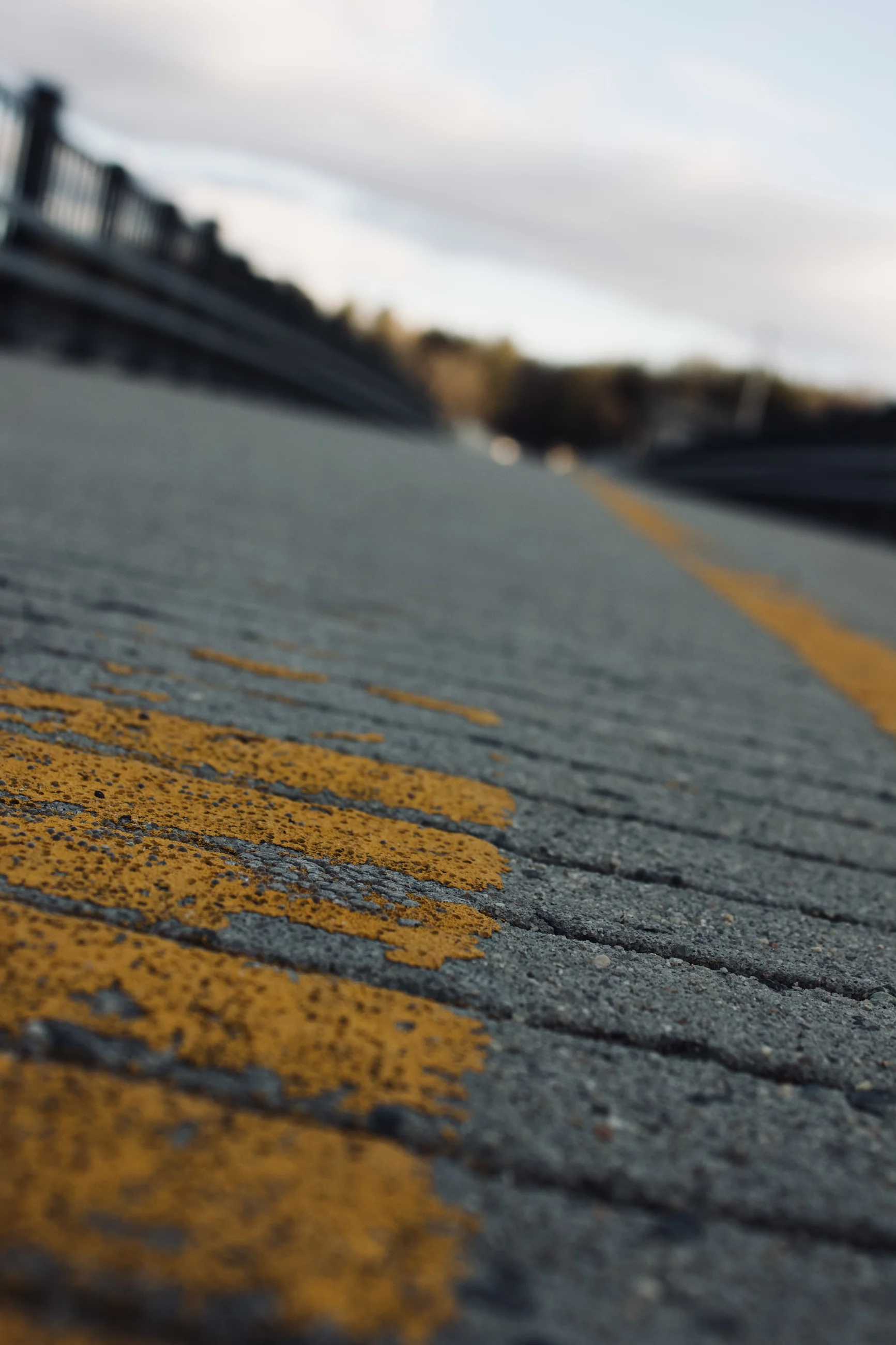 Road markings beside water, photographed at ground level
